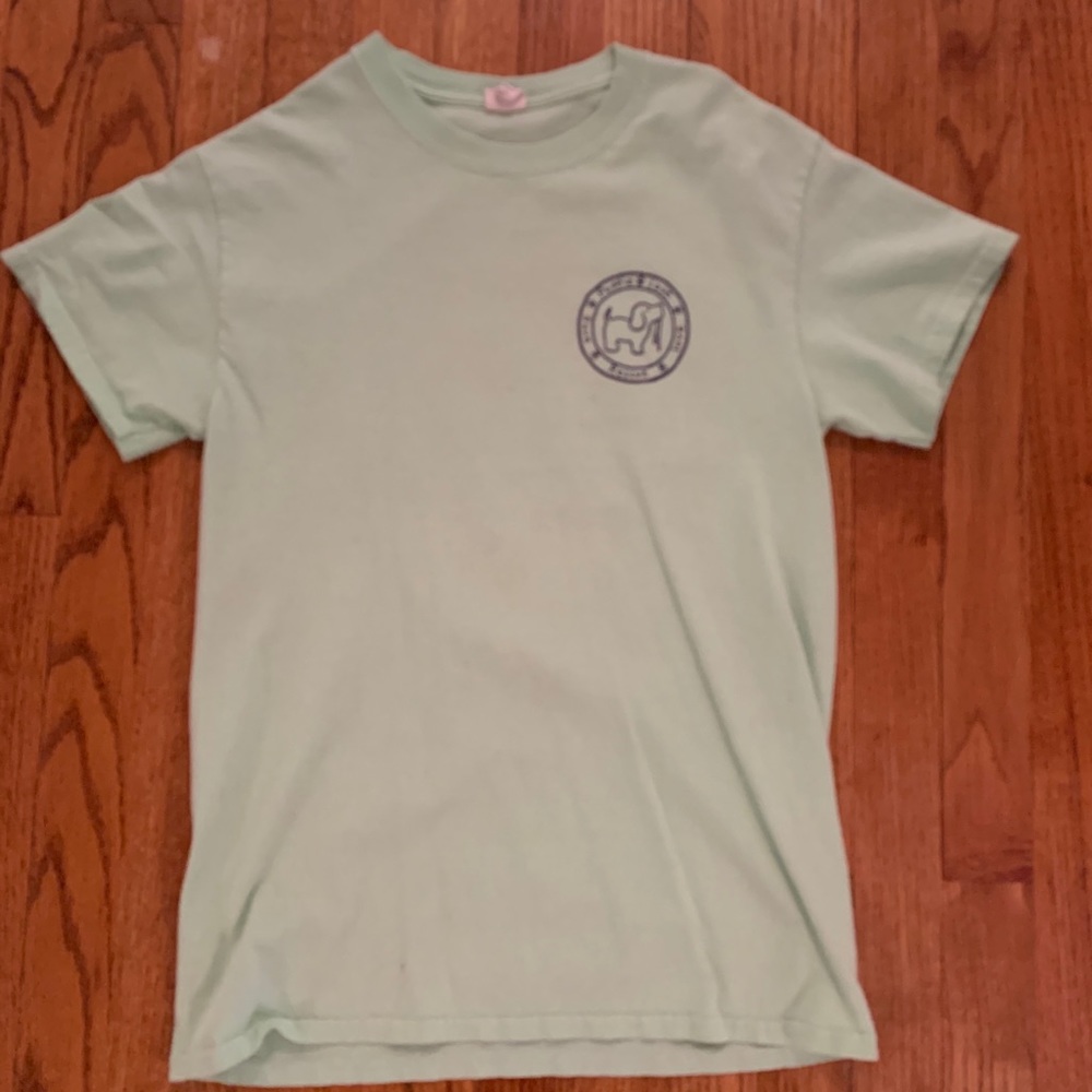 mint green puppy love tshirt